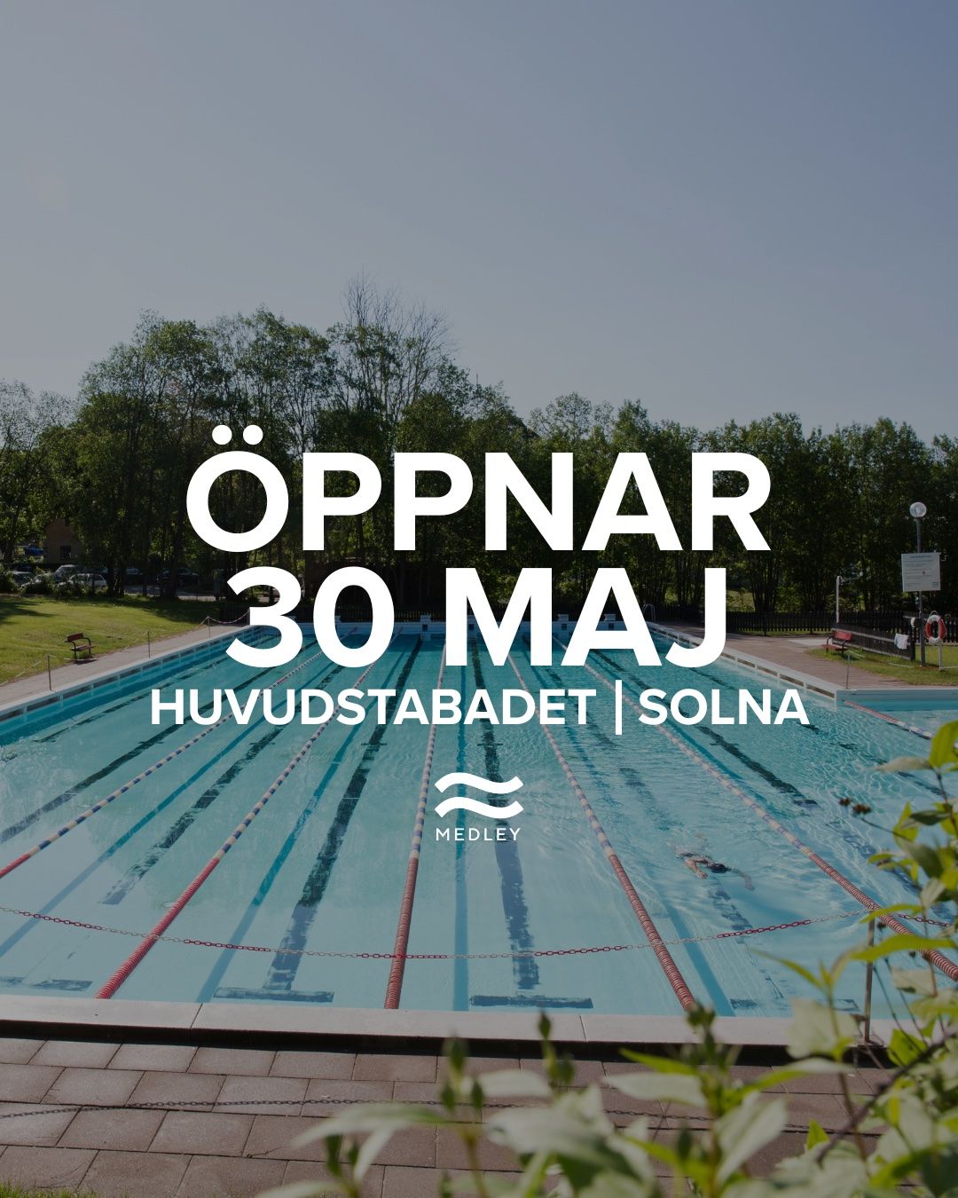Utomhuspool med klarblått vatten och simbanor, omgiven av grönska under en solig himmel. Stor text över bilden lyder: Öppnar 30 maj Huvudstabadet | Solna Medley.
