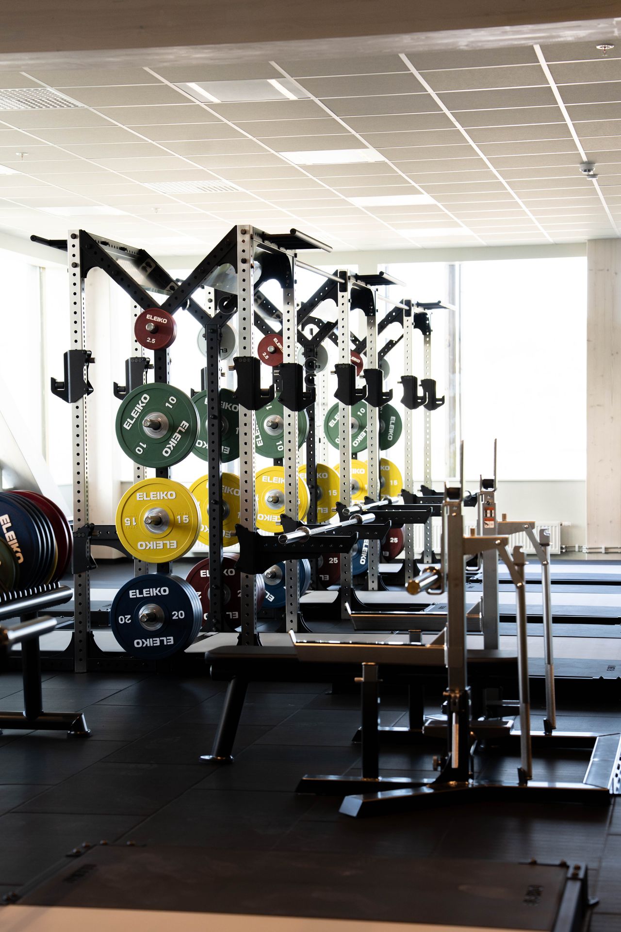 Ett gym med styrketräningsställ, bänkar och färgglada Eleiko-viktskivor staplade på ställ i ett väl upplyst rum med stora fönster.