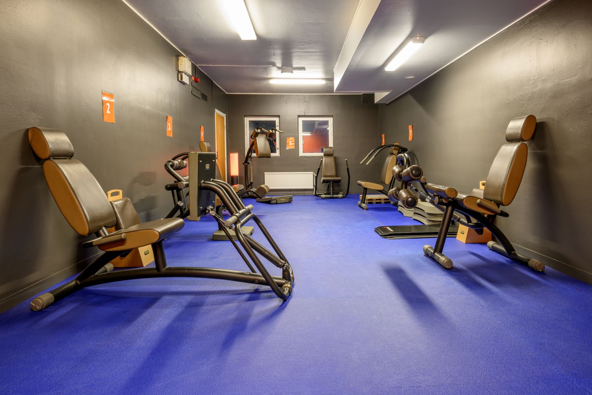 Bild på träningsmaskiner i ett rum med blått golv
