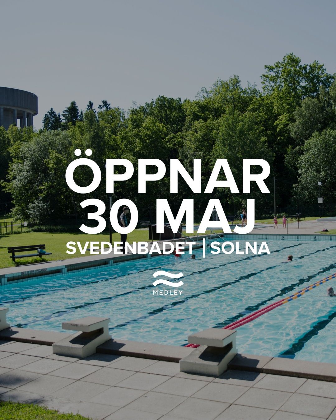 Utomhuspool omgiven av gröna träd och bänkar under en klar himmel. Stor vit text på svenska lyder: Öppnar 30 Maj, Svedenbadet | Solna. Medleys logotyp visas längst ner.