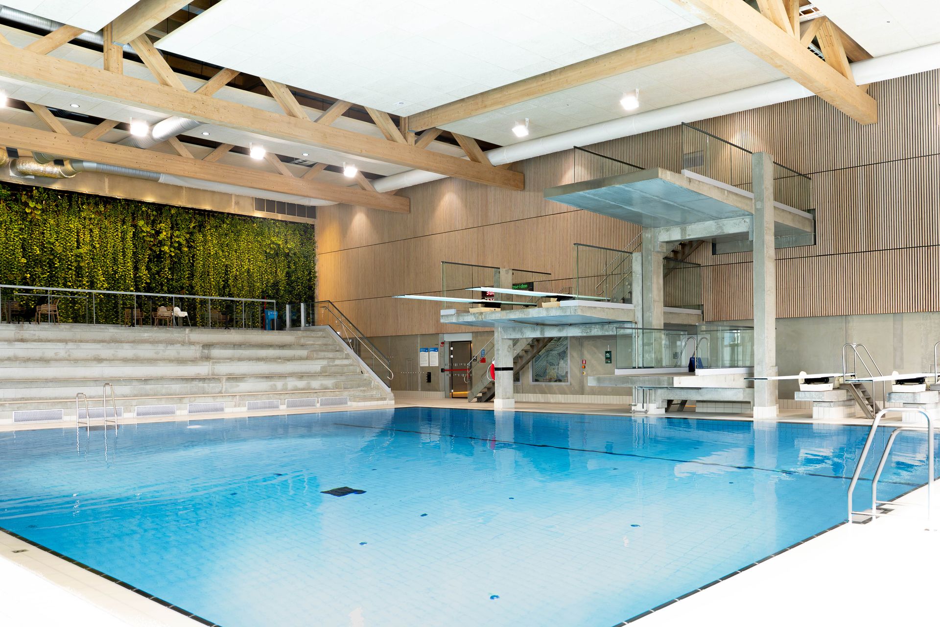 En inomhuspool med hopptorn, takbjälkar i trä, läktare i flera nivåer och en växtvägg i bakgrunden. Poolområdet är ljust upplyst och har en modern design.
